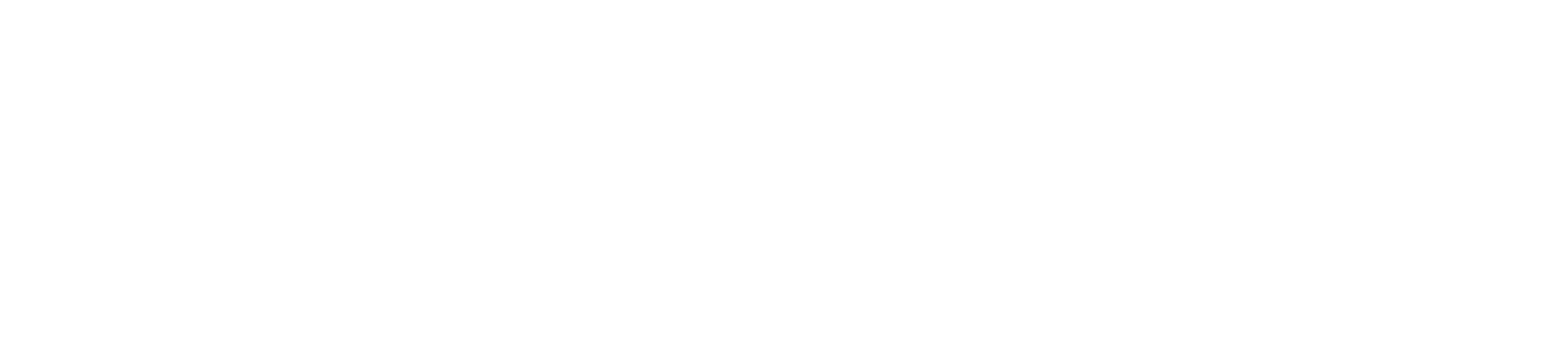 Documentazione Directsell